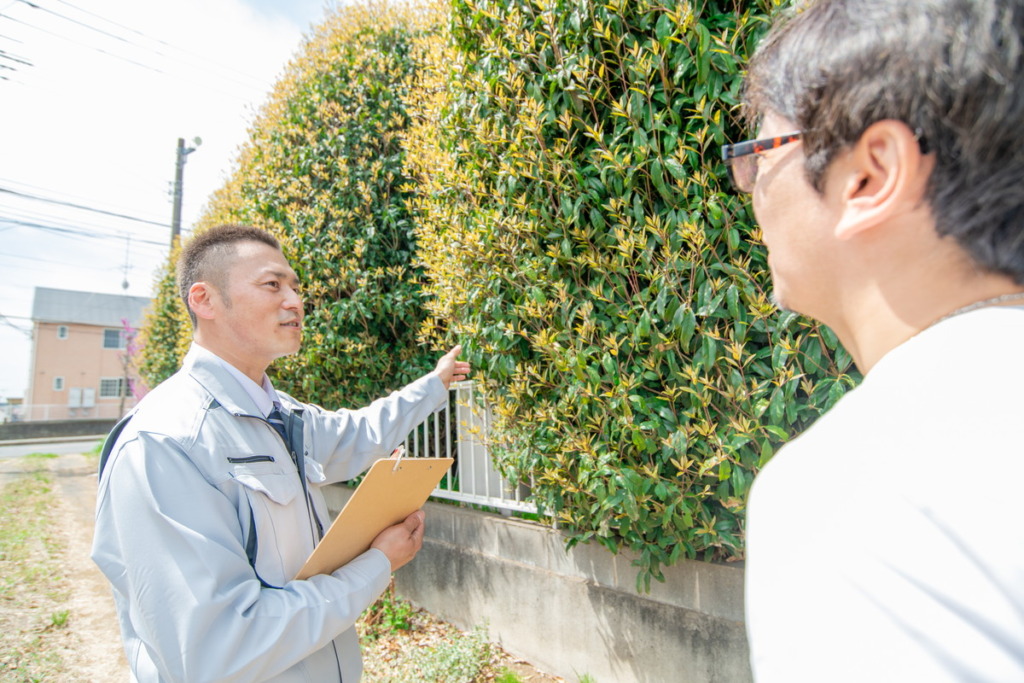 植木のことならなんでもご相談ください！